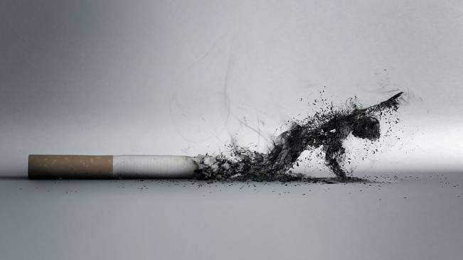 Cigarro Mata