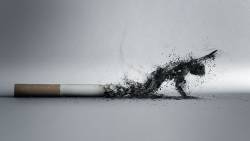 Cigarro Mata