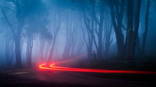 Neblina Na Estrada Luzes