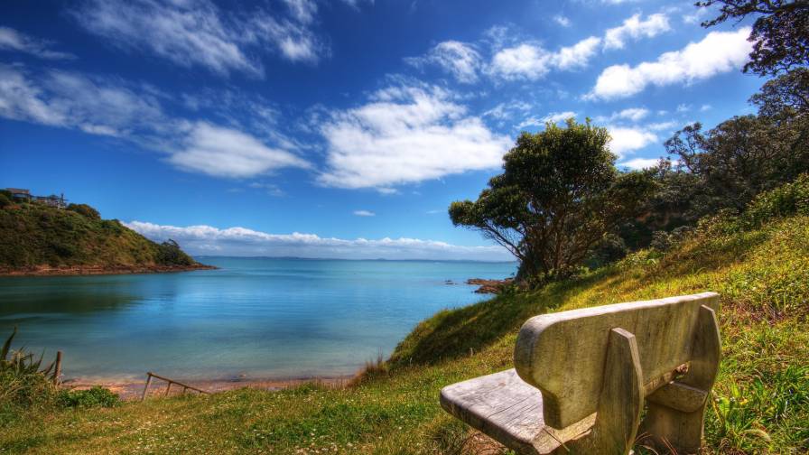 Beach Wooden Bench Wide