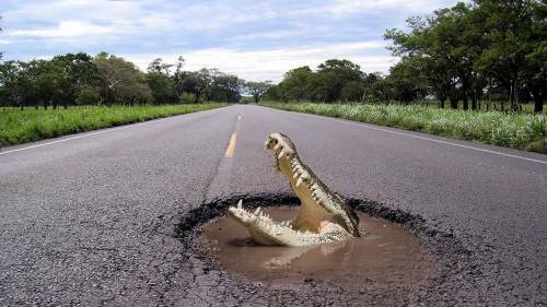 Estrada Buraco Crocodilo