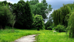 Estrada Ruim
