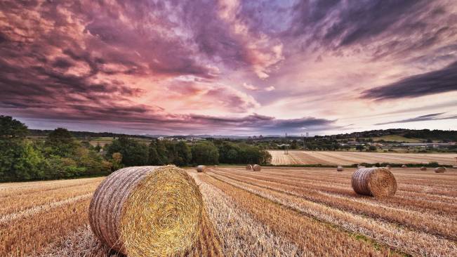 Farm Countryside HD
