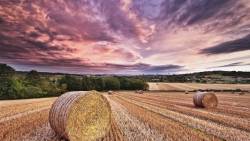Farm Countryside HD
