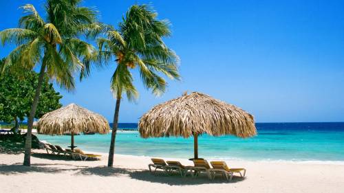 Nature Beach Netherlands HD