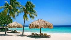 Nature Beach Netherlands HD