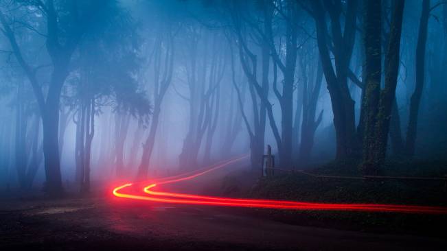 Neblina Na Estrada Luzes
