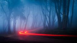 Neblina Na Estrada Luzes