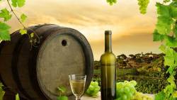 Vinho Bebidas Barril Uva